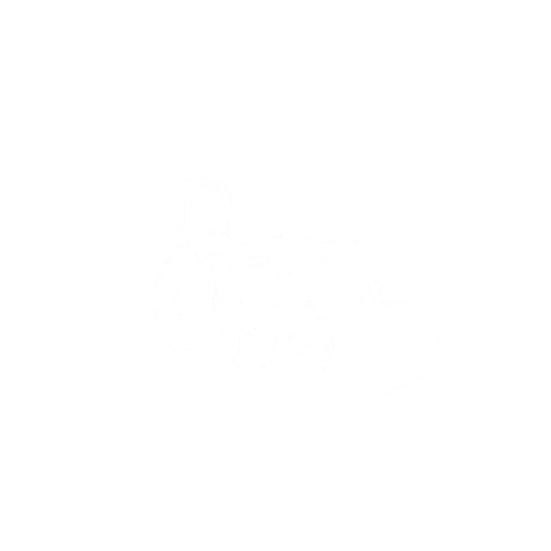 DeSite SLG 56 MINI and SLG 48 Topsoil and Rock Screeners for Sale – Ideal for Mini tractor. DeSite SLG 56 MINI and SLG 48 Topsoil and Rock Screeners for mini equipment like Mini tractor.